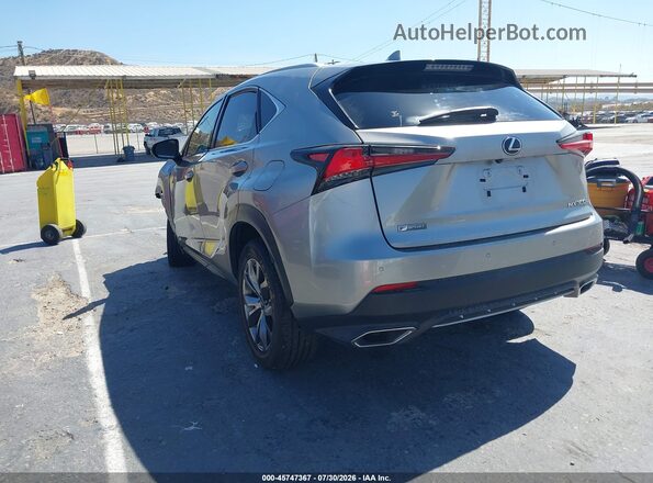 JTJSARBZ0M2195207 2021 LEXUS NX 300 Gray Հետևի ձախ