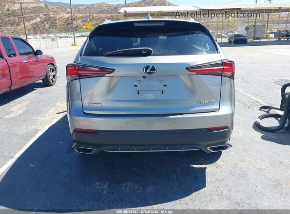 JTJSARBZ0M2195207 2021 LEXUS NX 300 Gray 