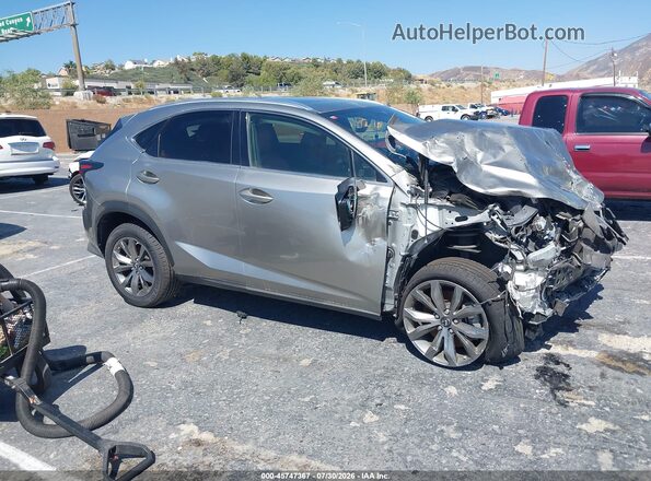 JTJSARBZ0M2195207 2021 LEXUS NX 300 Gray Սալոնի հետևի տեսք
