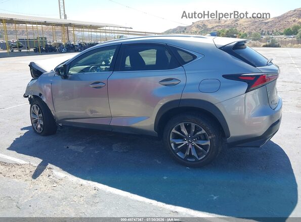 JTJSARBZ0M2195207 2021 LEXUS NX 300 Gray Սալոնի 360 աստիճան տեսք