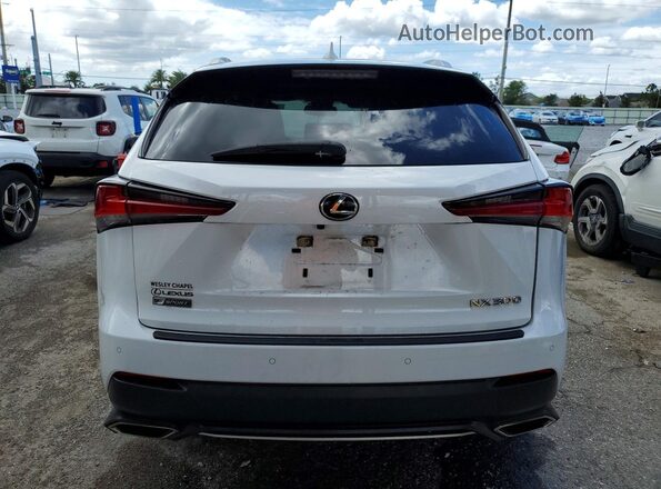JTJSARBZ2L5003847 2020 LEXUS NX White Հետևի տեսք