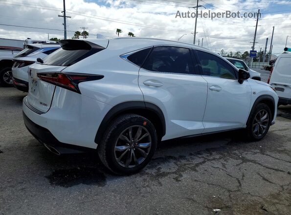 JTJSARBZ2L5003847 2020 LEXUS NX White Հետևի աջ