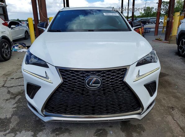 JTJSARBZ2L5003847 2020 LEXUS NX White Դիմացի տեսք