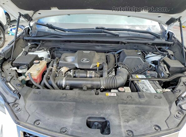 JTJSARBZ2L5003847 2020 LEXUS NX White Շարժիչի բաժամունքի տեսք