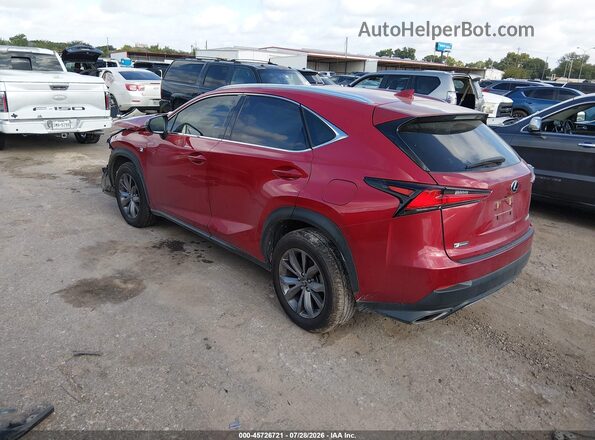 JTJSARBZ3M2196187 2021 LEXUS NX 300 Красный Задняя левая четверть