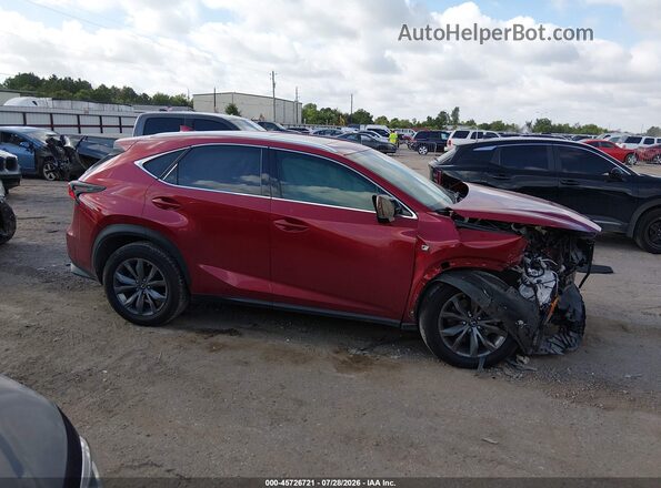 JTJSARBZ3M2196187 2021 LEXUS NX 300 Красный Вид задней части салона