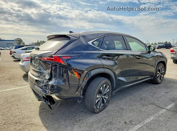 JTJSARBZ5M2187751 2021 LEXUS NX Black Rear right