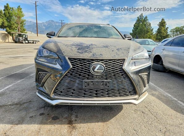 JTJSARBZ5M2187751 2021 LEXUS NX Black Front view