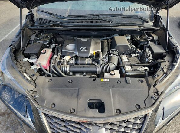 JTJSARBZ5M2187751 2021 LEXUS NX Black Rear interior view