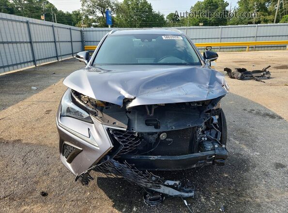JTJSARBZ6L2176854 2020 LEXUS NX Серый Вид спереди