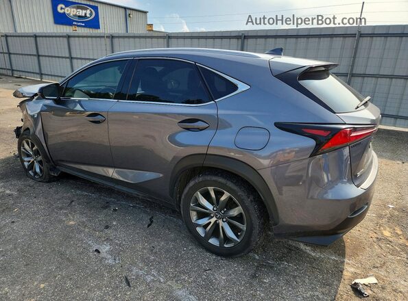JTJSARBZ6L2176854 2020 LEXUS NX Серый Задняя левая четверть