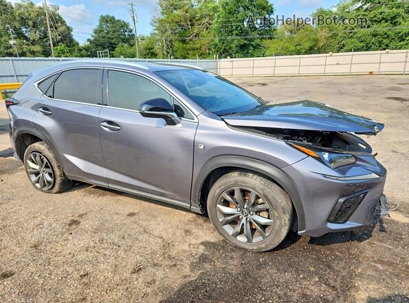 JTJSARBZ6L2176854 2020 LEXUS NX Серый Передняя правая четверть