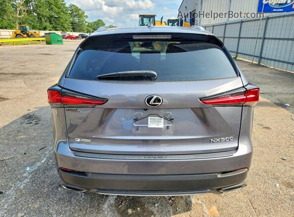JTJSARBZ6L2176854 2020 LEXUS NX Серый Вид сзади