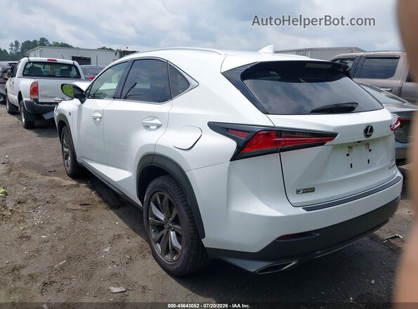 JTJSARBZ6M5032348 2021 LEXUS NX 300 White Задня ліва чверть