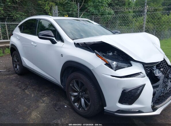 JTJSARBZ6M5032348 2021 LEXUS NX 300 White Вид задньої частини салону