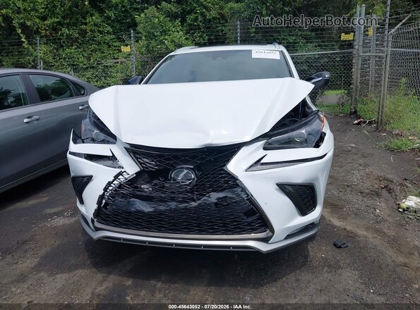 JTJSARBZ6M5032348 2021 LEXUS NX 300 White Вид щитка приладів
