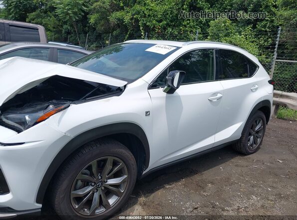 JTJSARBZ6M5032348 2021 LEXUS NX 300 White Панорамний вид салону 360°