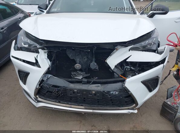 JTJSARDZ2M2263357 2021 LEXUS NX 300 Белый Вид спереди