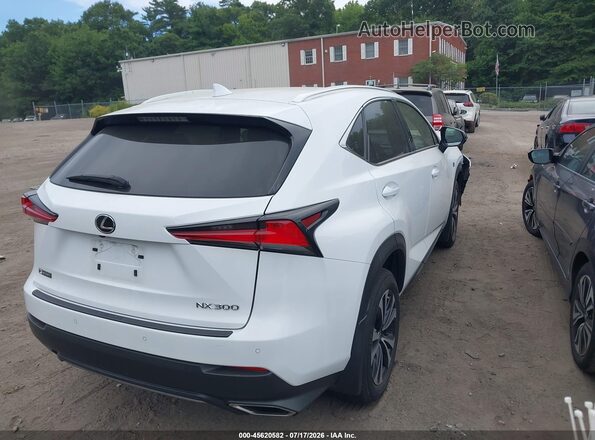JTJSARDZ2M2263357 2021 LEXUS NX 300 Белый Задняя правая четверть