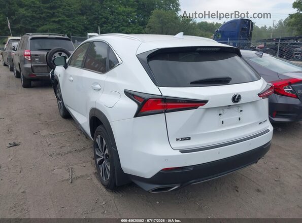 JTJSARDZ2M2263357 2021 LEXUS NX 300 Белый Задняя левая четверть