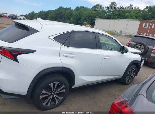 JTJSARDZ2M2263357 2021 LEXUS NX 300 Белый Вид задней части салона