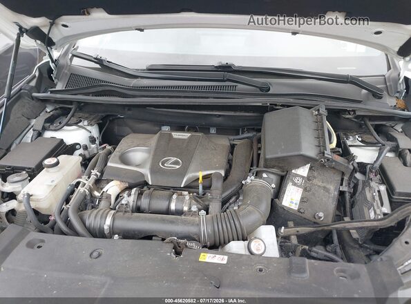 JTJSARDZ2M2263357 2021 LEXUS NX 300 Белый Вид сзади
