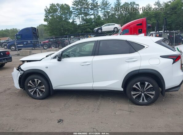 JTJSARDZ2M2263357 2021 LEXUS NX 300 Белый Панорамный вид салона 360°