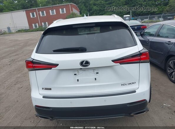 JTJSARDZ2M2263357 2021 LEXUS NX 300 Белый 