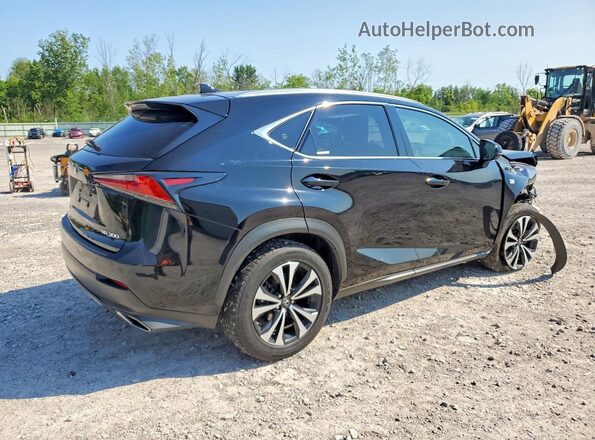 JTJSARDZ3M2251377 2021 LEXUS NX Black Задня права чверть