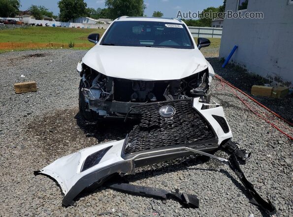 JTJSARDZ4L5013356 2020 LEXUS NX White Vista frontal