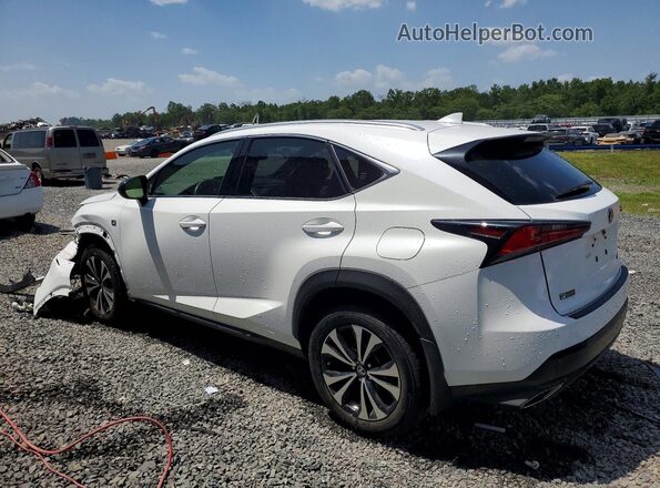 JTJSARDZ4L5013356 2020 LEXUS NX White Trasero izquierdo