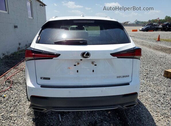 JTJSARDZ4L5013356 2020 LEXUS NX White Vista trasera