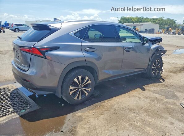 JTJSARDZ4M2257365 2021 LEXUS NX Gray Задня права чверть