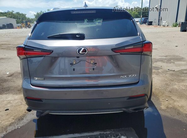 JTJSARDZ4M2257365 2021 LEXUS NX Gray Вид ззаду