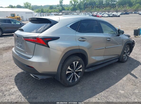 JTJSARDZ5L5009185 2020 LEXUS NX 300 Gray უკანა მარჯვენა