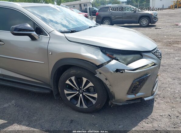 JTJSARDZ5L5009185 2020 LEXUS NX 300 Gray წინა ხედი