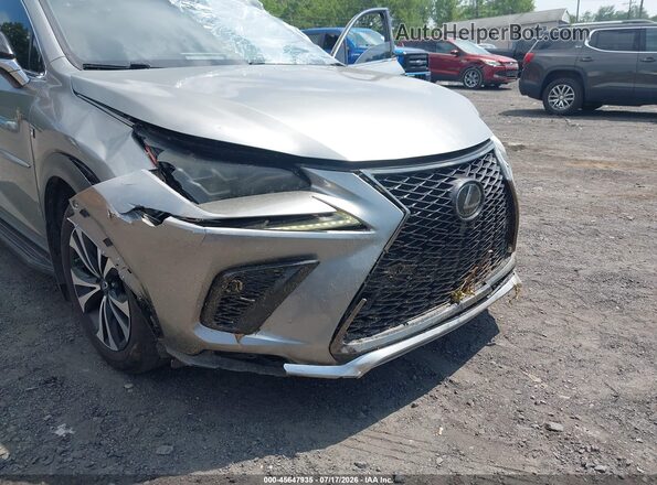 JTJSARDZ5L5009185 2020 LEXUS NX 300 Gray 