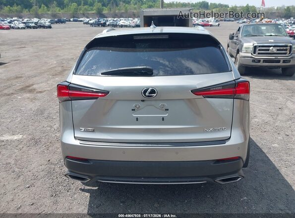 JTJSARDZ5L5009185 2020 LEXUS NX 300 Gray 