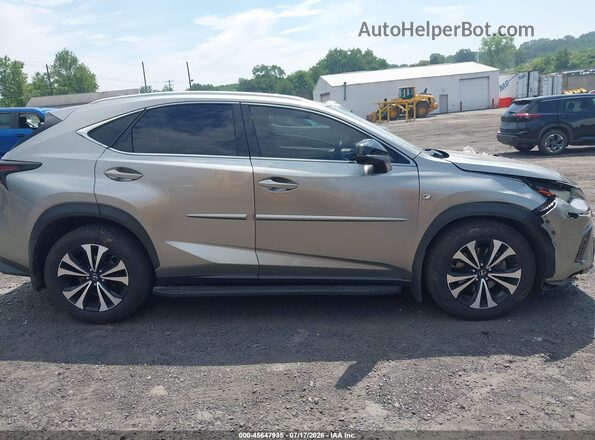JTJSARDZ5L5009185 2020 LEXUS NX 300 Gray უკანა სალონის ხედი
