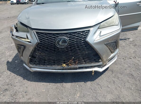 JTJSARDZ5L5009185 2020 LEXUS NX 300 Gray 