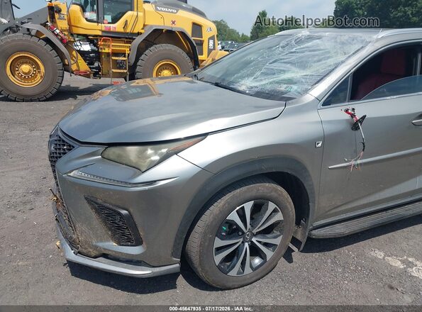 JTJSARDZ5L5009185 2020 LEXUS NX 300 Gray 