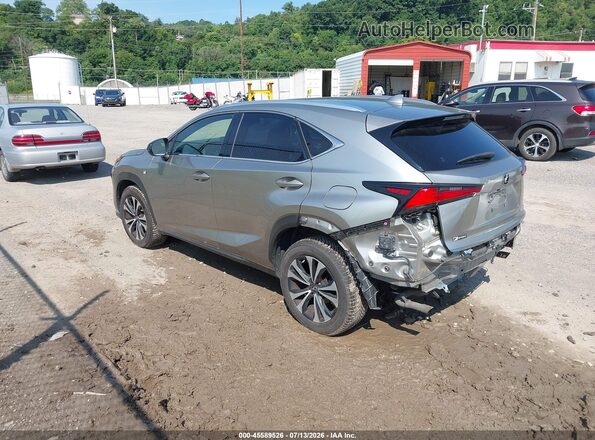 JTJSARDZ5M2264440 2021 LEXUS NX 300 Gray Tył lewy