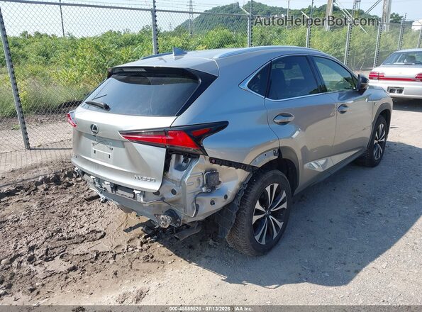 JTJSARDZ5M2264440 2021 LEXUS NX 300 Gray Tył prawy