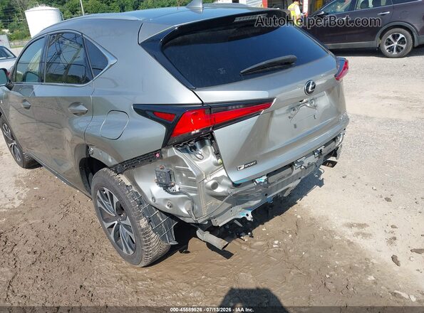 JTJSARDZ5M2264440 2021 LEXUS NX 300 Gray Widok z przodu