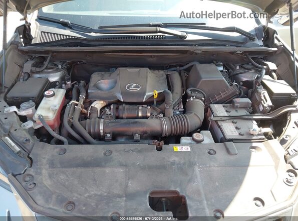 JTJSARDZ5M2264440 2021 LEXUS NX 300 Gray Widok z tyłu