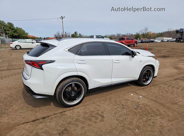 JTJSARDZ6L5006196 2020 LEXUS NX White უკანა მარჯვენა
