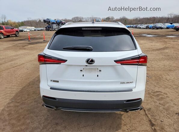 JTJSARDZ6L5006196 2020 LEXUS NX White უკანა ხედი
