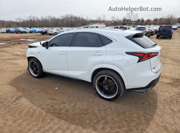 JTJSARDZ6L5006196 2020 LEXUS NX White უკანა მარცხენა