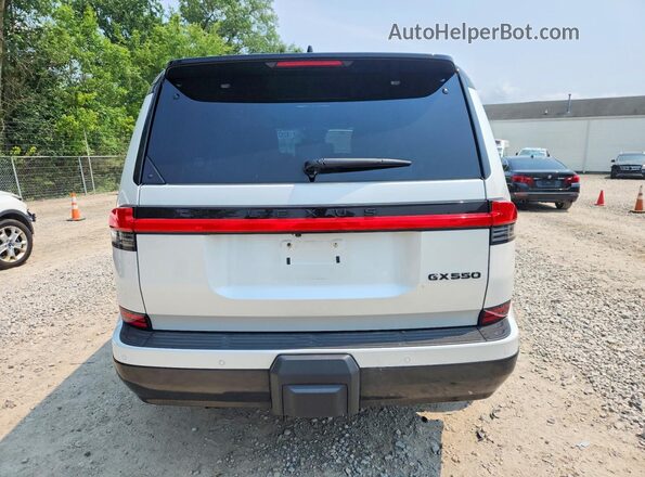 JTJVBCDX2R5023138 2024 LEXUS GX Белый Вид сзади