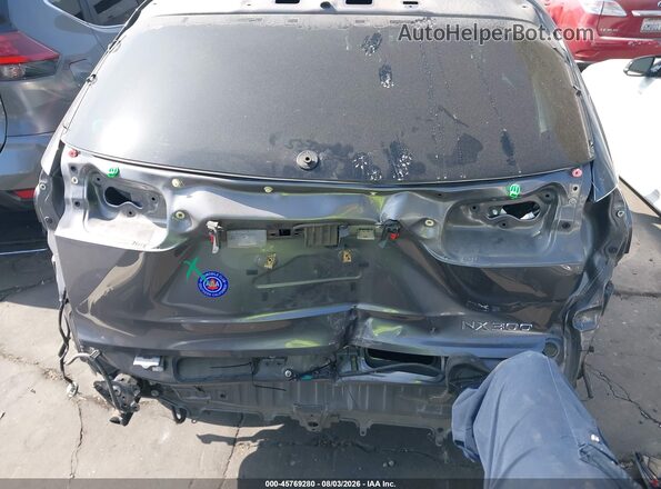 JTJYARBZ0J2095579 2018 LEXUS NX 300 Серый 